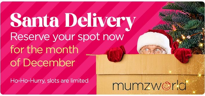 2-DESKTOP-BANNERS-3-EN-SANTADELIVERY (1).jpg