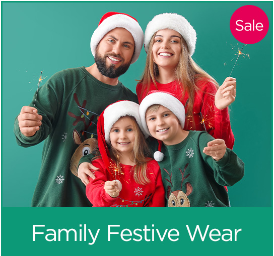 3-3-FAMILY-FESTIVE-EN (1).jpg