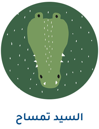 3-TRIXIE-ANIMALS-CROCODILE-AR.jpg