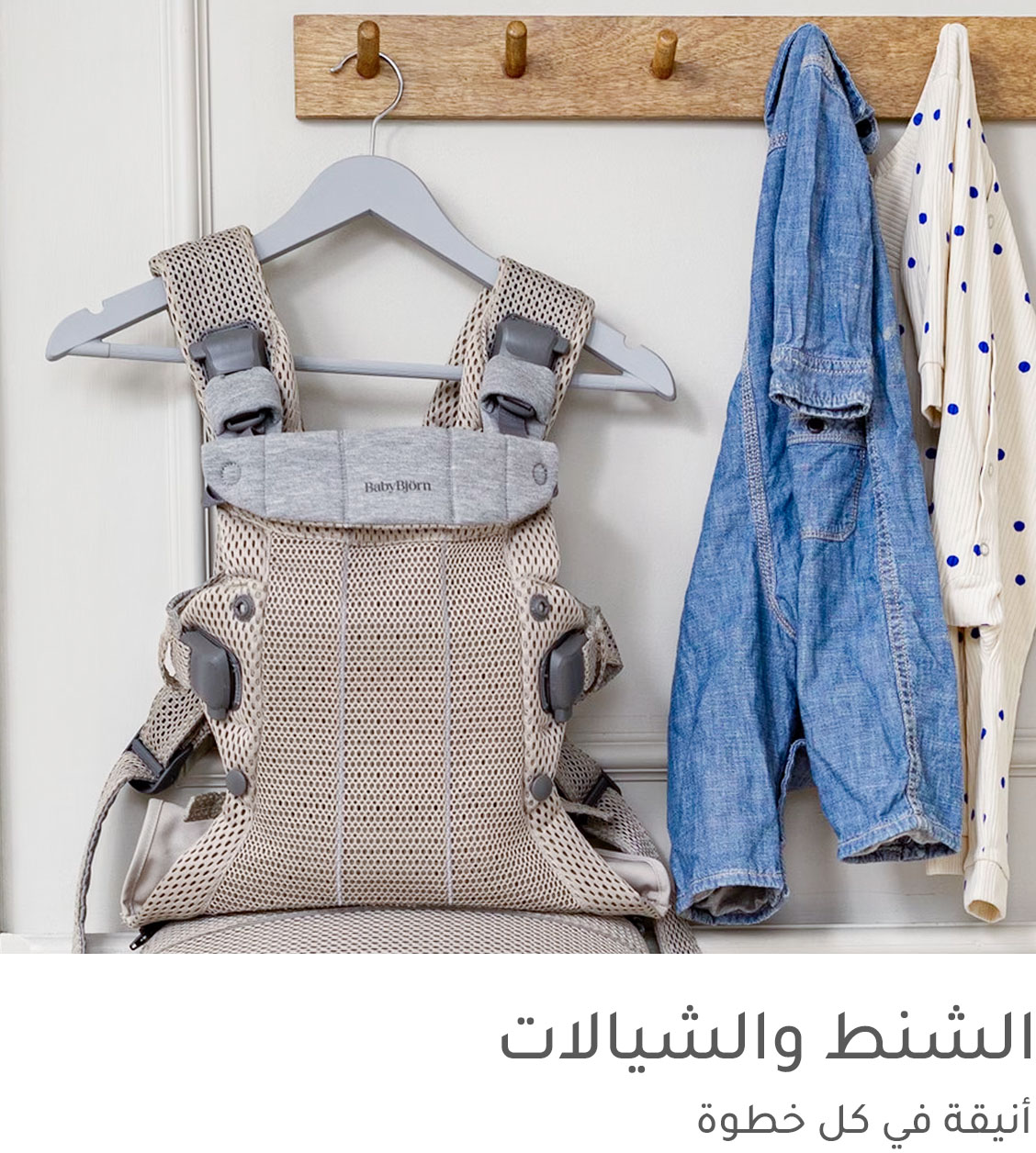4-DESKTOP-PREMIUM-BAGSANDCARRIERS-AR.jpg
