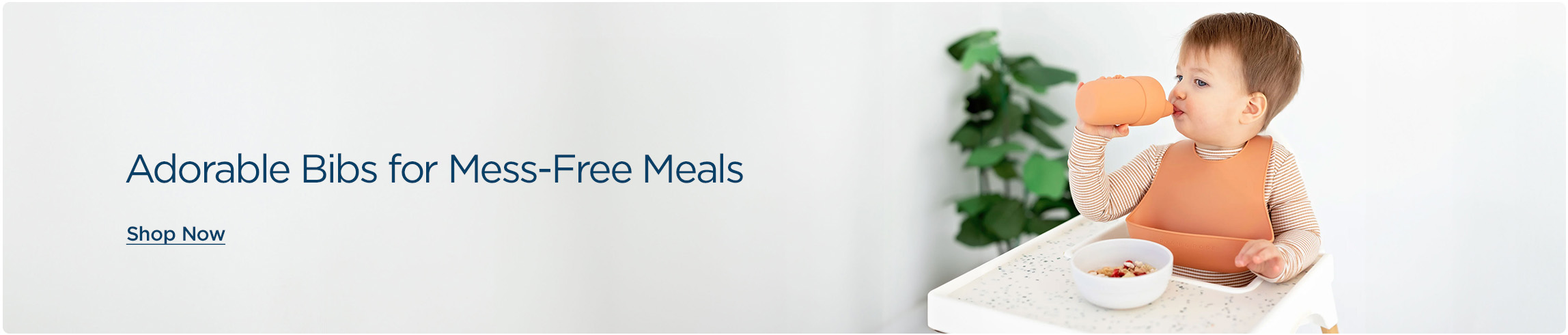 BIBS-DESKTOP-BANNERS-EN-31MAR-2025.jpg