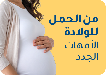 BumptoBaby_AR.webp