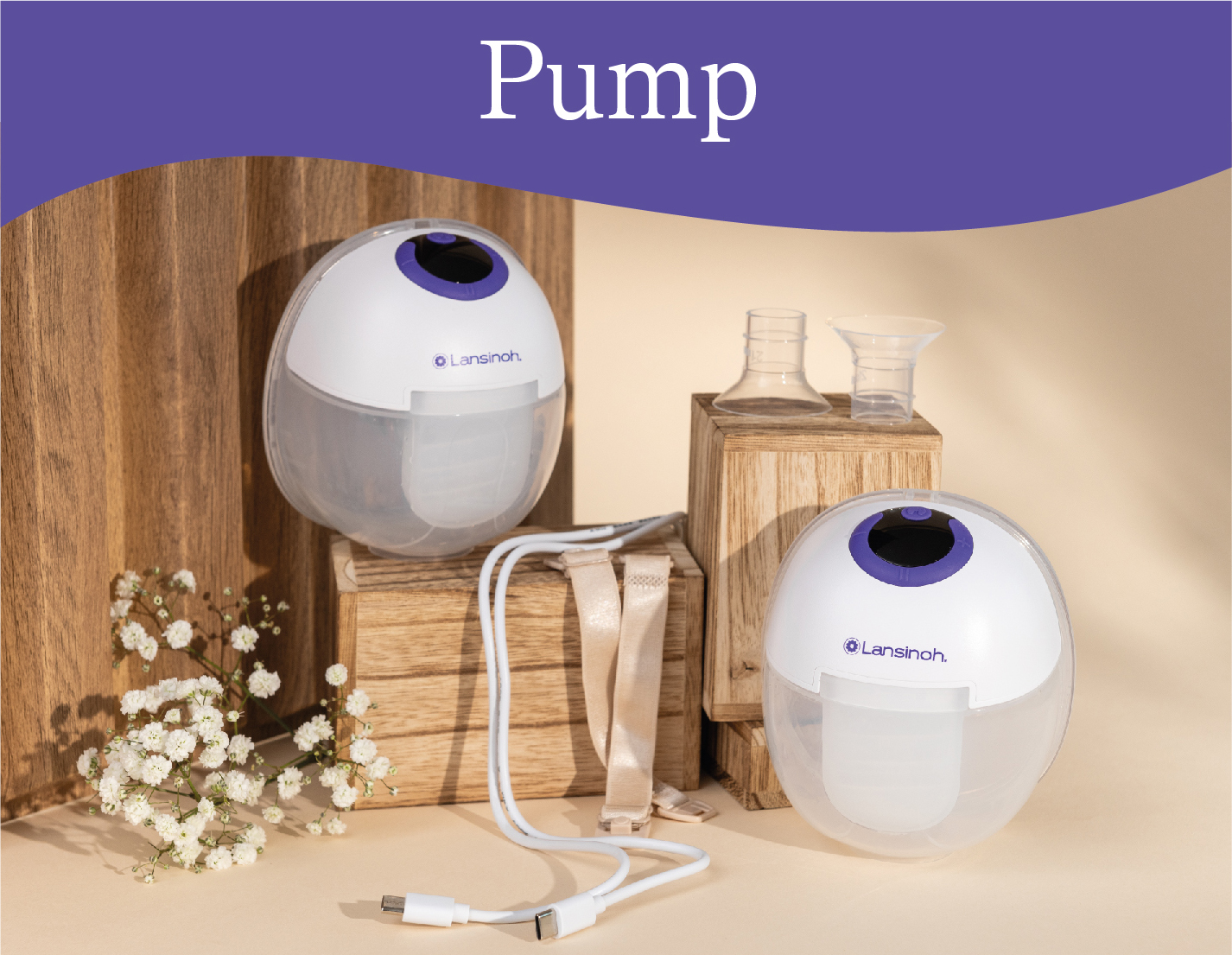 Category 2- Pump (432x365) Latest.jpg