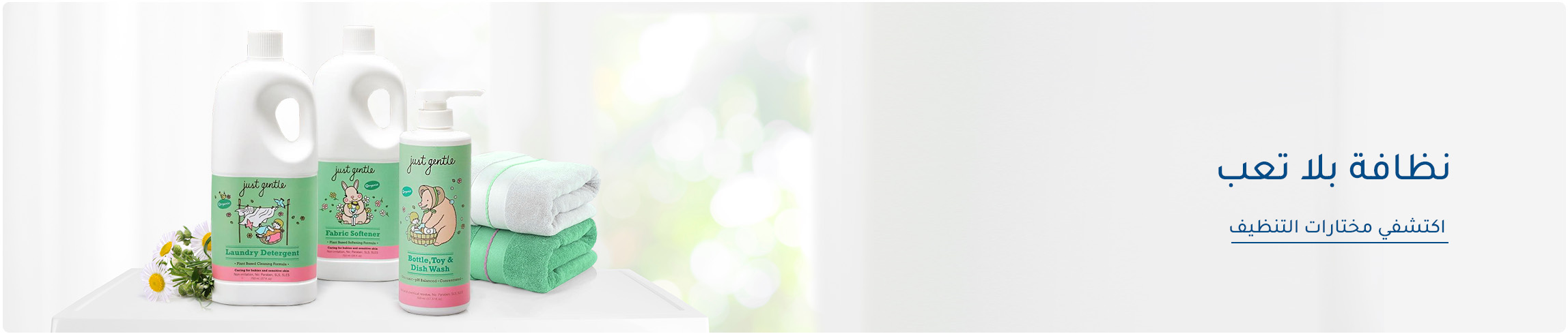 DESKTOP-BANNERS-AR--cleaning.jpg