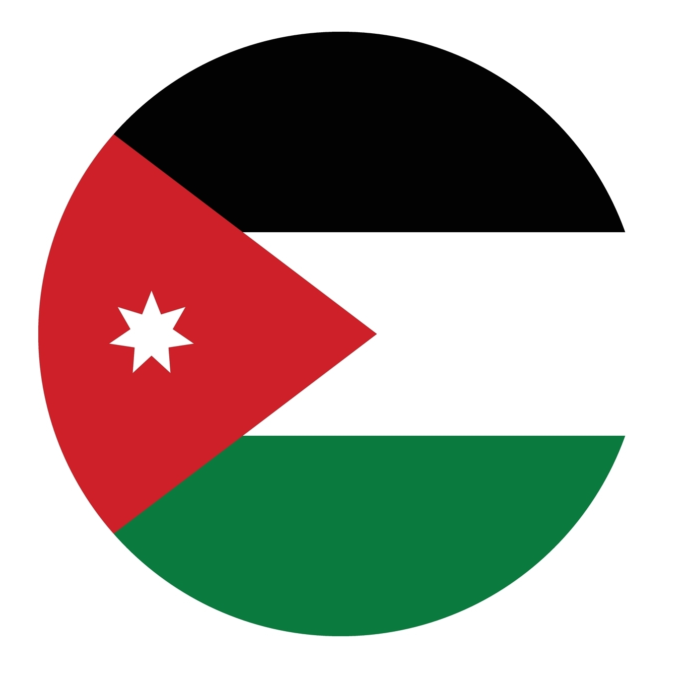 UAE Flag