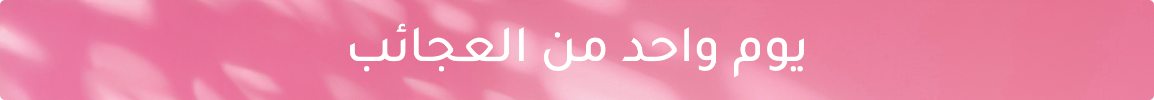 STRIP BANNER-DESKTOP-AR-14-FEB.jpg