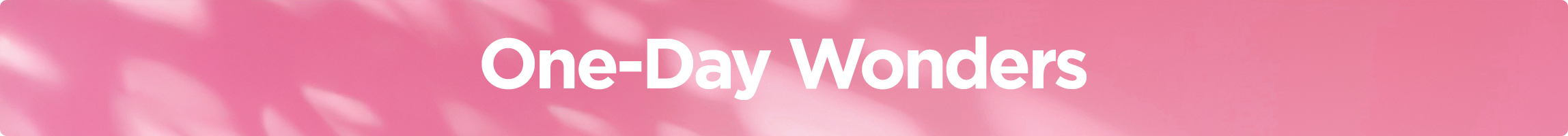 STRIP BANNER-DESKTOP-EN-14-FEB.jpg