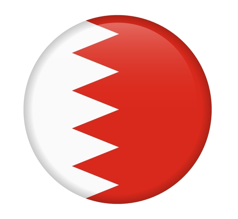 UAE Flag