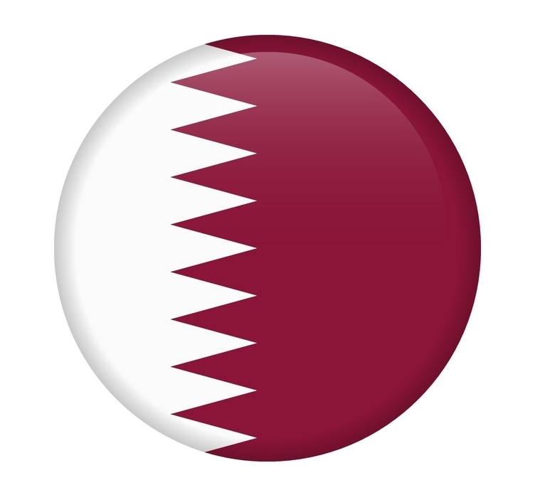 UAE Flag